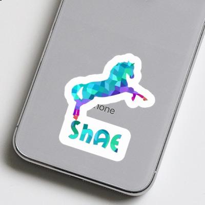 Horse Sticker Shae Notebook Image