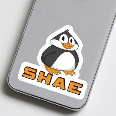 Shae Aufkleber Pinguin Laptop Image