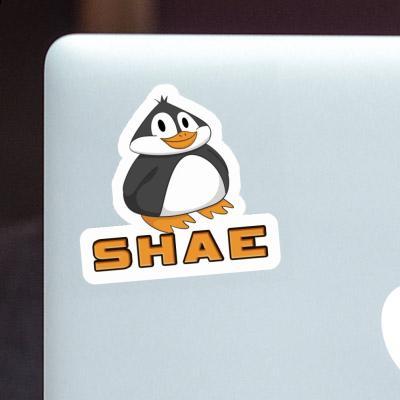 Fat Penguin Sticker Shae Laptop Image