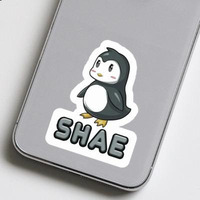 Penguin Sticker Shae Gift package Image