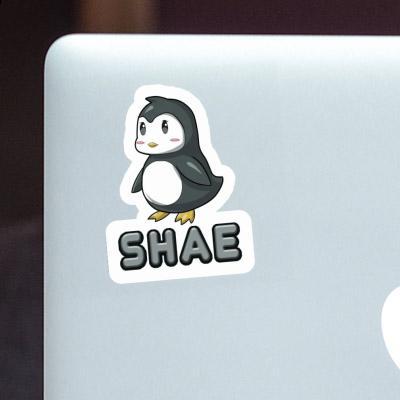 Penguin Sticker Shae Notebook Image