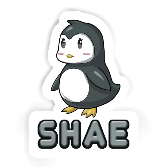 Penguin Sticker Shae Gift package Image