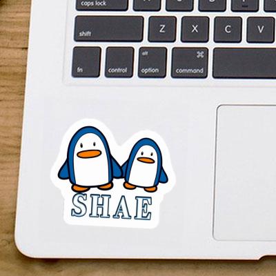 Sticker Penguin Shae Laptop Image