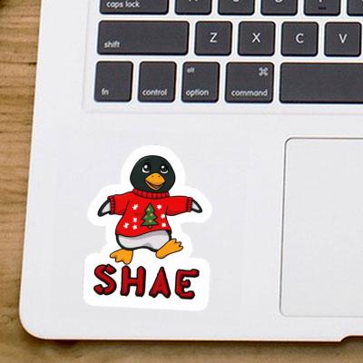 Sticker Shae Penguin Image