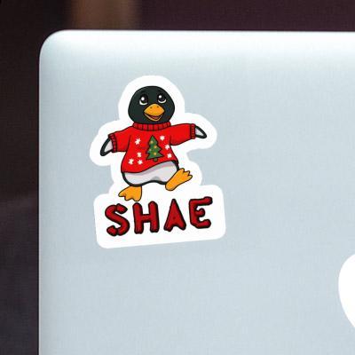 Sticker Shae Penguin Laptop Image