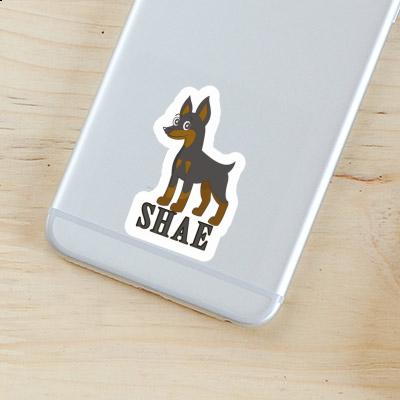 Shae Sticker Pinscher Notebook Image