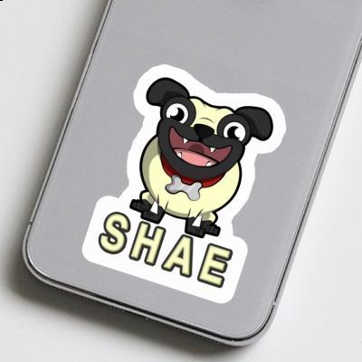 Sticker Pug Shae Image