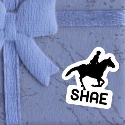 Sticker Shae Horse Rider Laptop Image