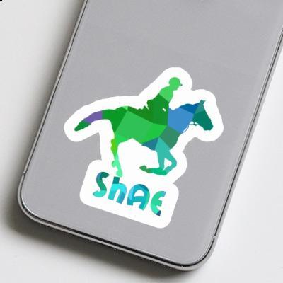 Sticker Reiterin Shae Laptop Image