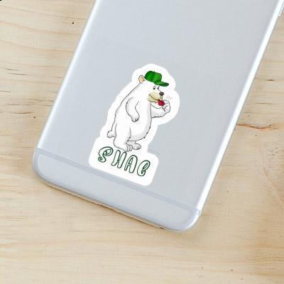 Shae Sticker Ice Bear Laptop Image