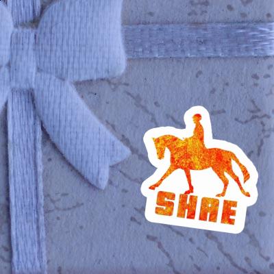 Sticker Shae Horse Rider Gift package Image