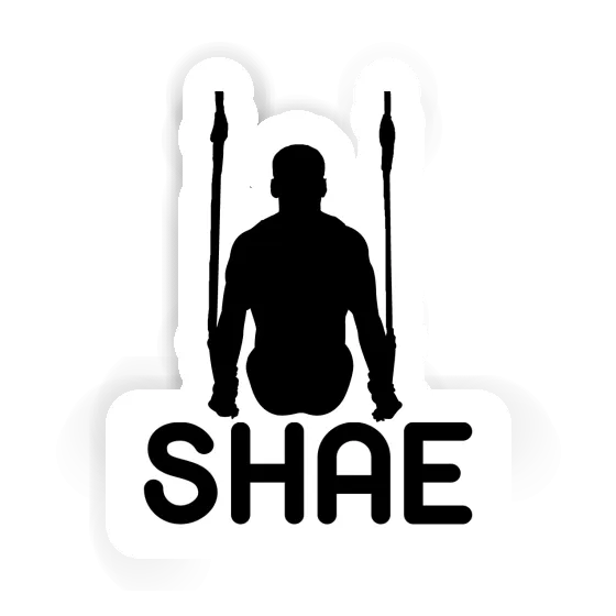 Shae Sticker Ring gymnast Gift package Image