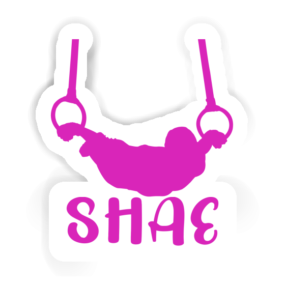 Ring gymnast Sticker Shae Gift package Image