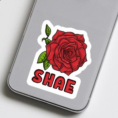 Sticker Shae Rosenblüte Laptop Image