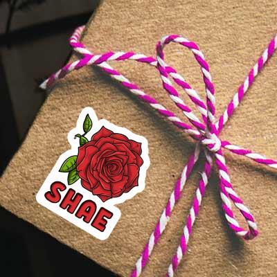 Rose Sticker Shae Notebook Image