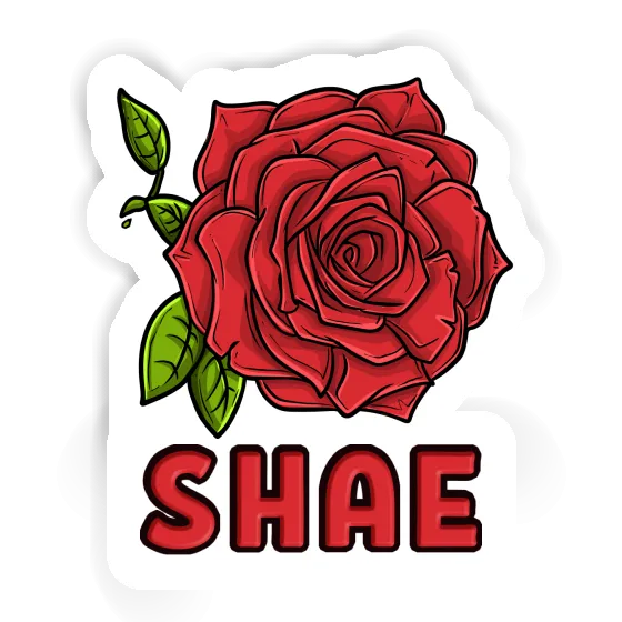 Rose Sticker Shae Laptop Image