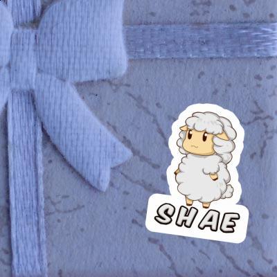 Sticker Sheep Shae Gift package Image