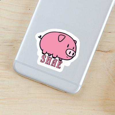 Sticker Pig Shae Image