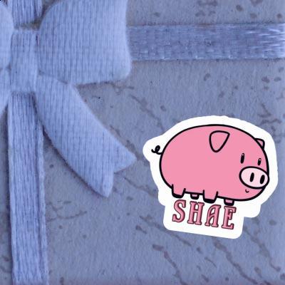 Autocollant Shae Cochon Notebook Image