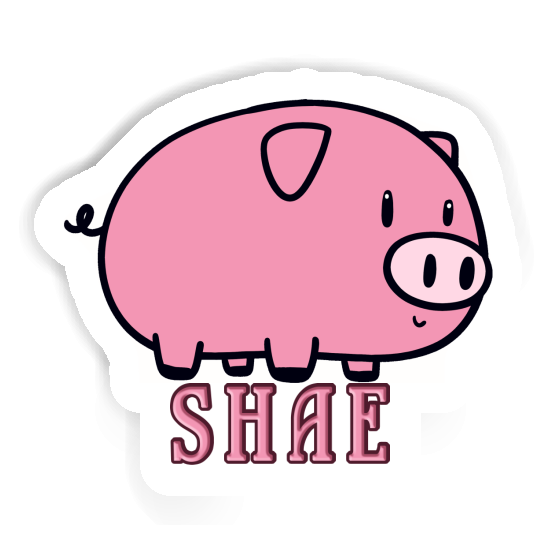 Sticker Pig Shae Laptop Image