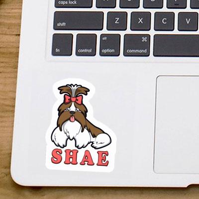 Shae Sticker Shih Tzu Gift package Image