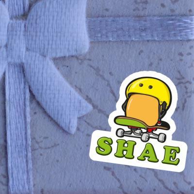 Aufkleber Skateboard-Ei Shae Gift package Image