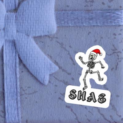 Sticker Skelett Shae Gift package Image