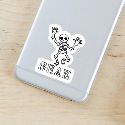 Skull Sticker Shae Gift package Image