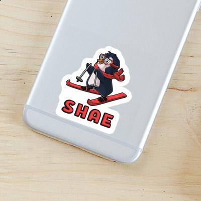 Sticker Skier Shae Laptop Image