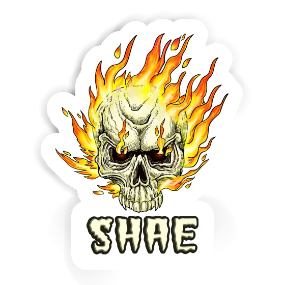 Skull Sticker Shae Notebook Image