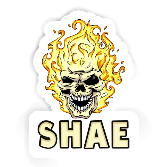 Sticker Shae Skull Gift package Image