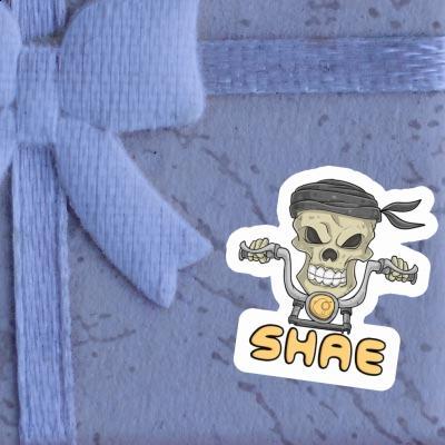 Sticker Shae Motorbike Rider Gift package Image