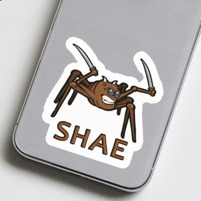 Sticker Shae Fighting Spider Gift package Image