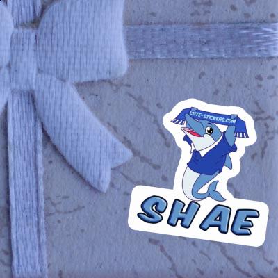 Shae Autocollant Dauphin Image