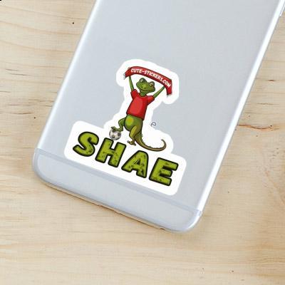 Sticker Eidechse Shae Laptop Image