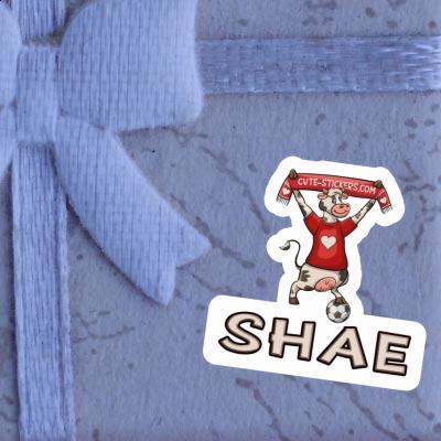 Sticker Cow Shae Gift package Image