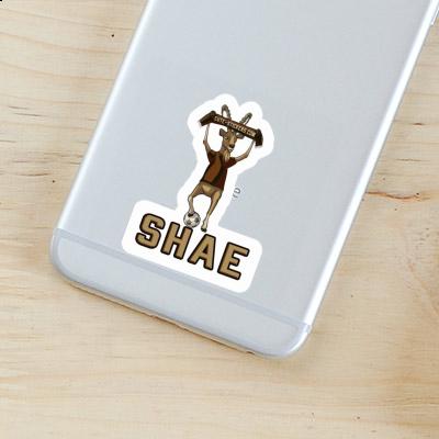 Shae Sticker Capricorn Image