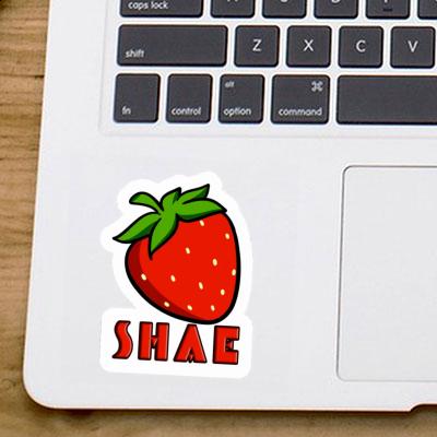 Sticker Shae Erdbeere Gift package Image