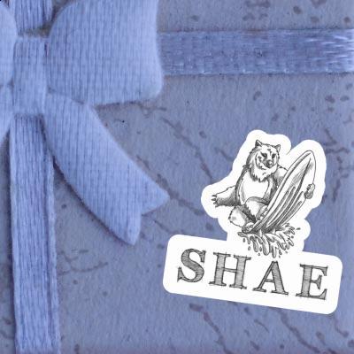 Aufkleber Surfer Shae Gift package Image