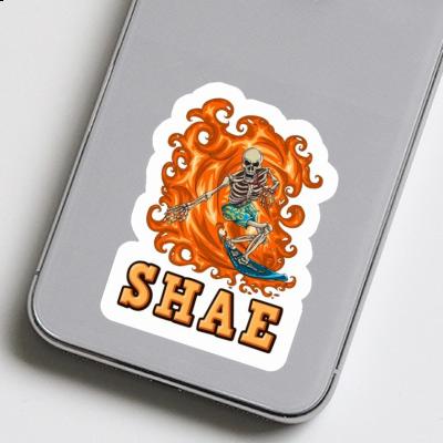 Surfer Sticker Shae Gift package Image