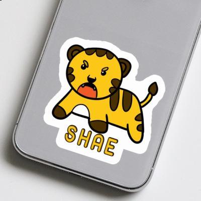 Shae Sticker Baby Tiger Gift package Image