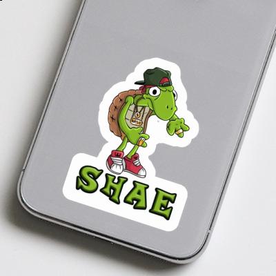 Sticker Shae Turtle Gift package Image