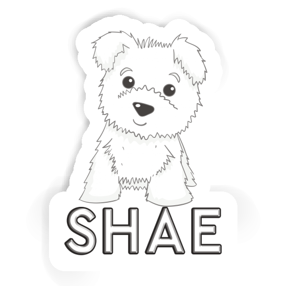 Westie Autocollant Shae Gift package Image