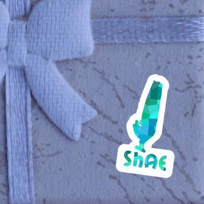 Sticker Shae Windsurfer Gift package Image