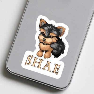 Yorkie Aufkleber Shae Gift package Image