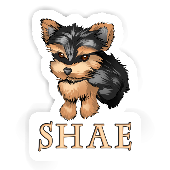 Yorkie Aufkleber Shae Gift package Image