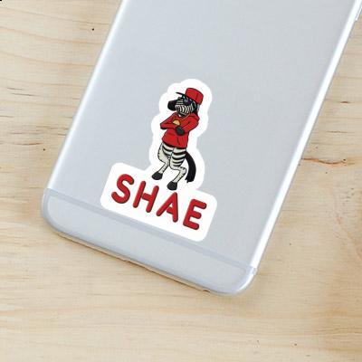 Sticker Shae Zebra Gift package Image