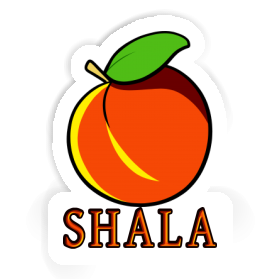 Apricot Sticker Shala Image