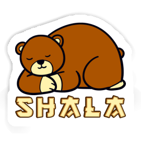 Sticker Shala Bear Image