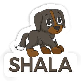 Shala Sticker Bernese Dog Image